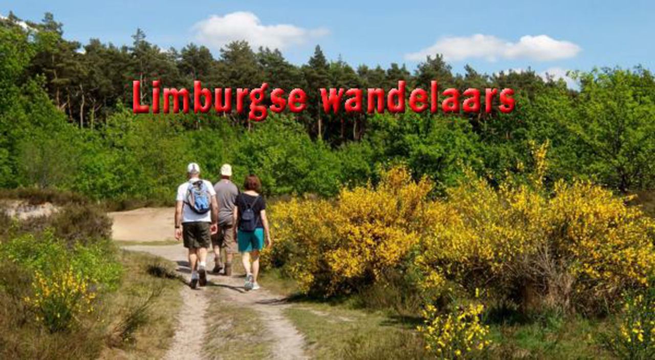 Wandelen met de Limburgse wandelaars uit Bolderberg